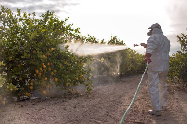 Pest Control for Restaurants in Palo Alto, CA